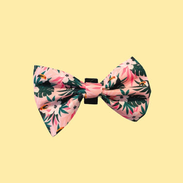 Noeud papillon pour chien - Tropicool